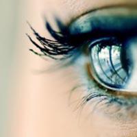 Oeil  !